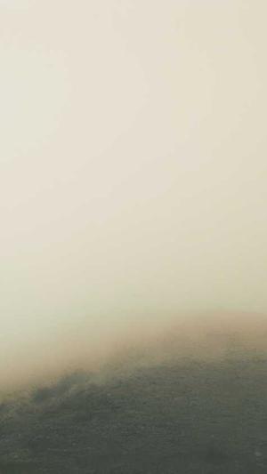 吃瓜资源公众号截图1